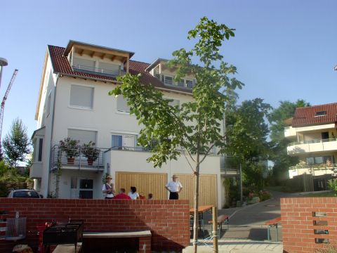 Unsere Kastanie, 3 Jahre alt